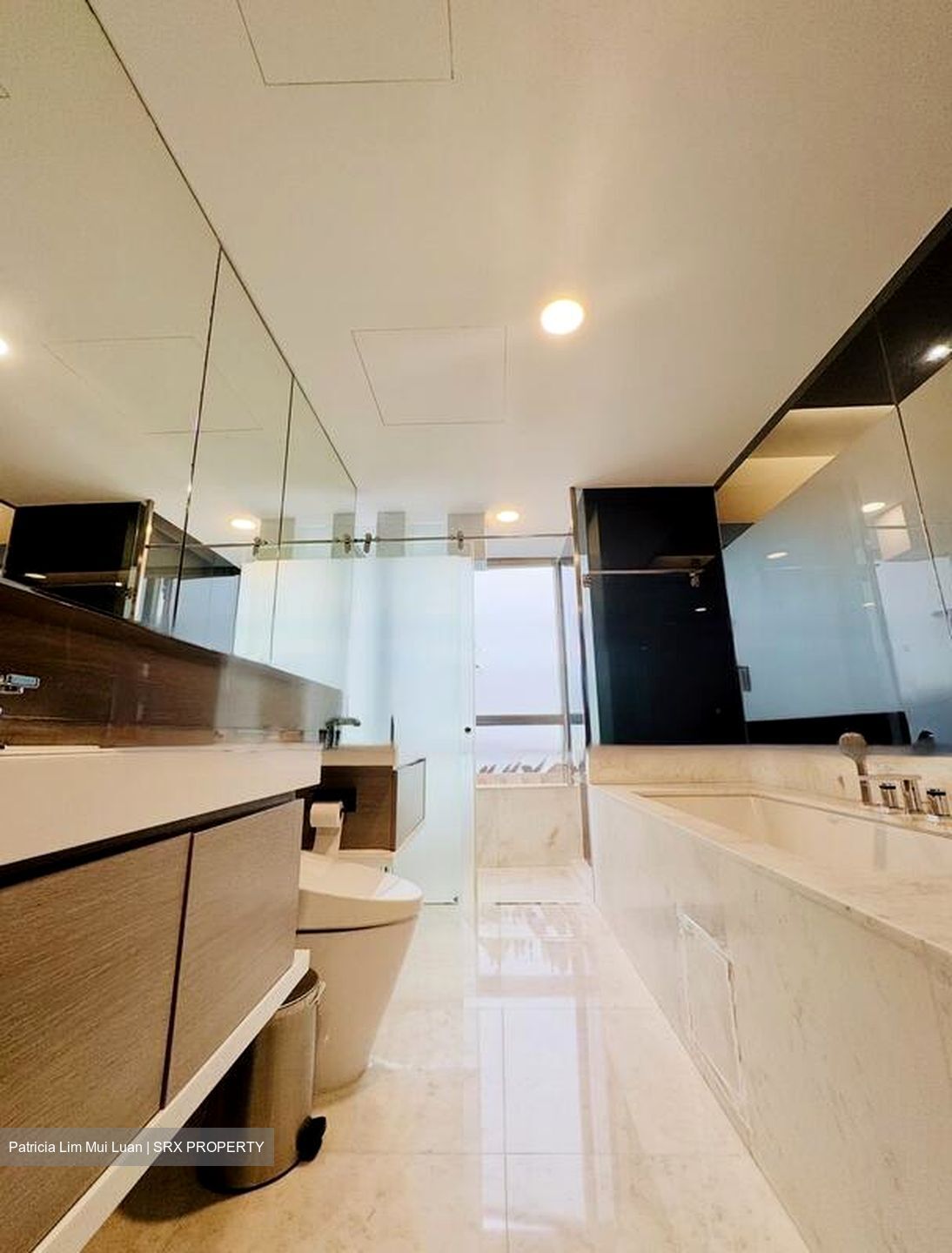 SilverSea (D15), Condominium #483618861